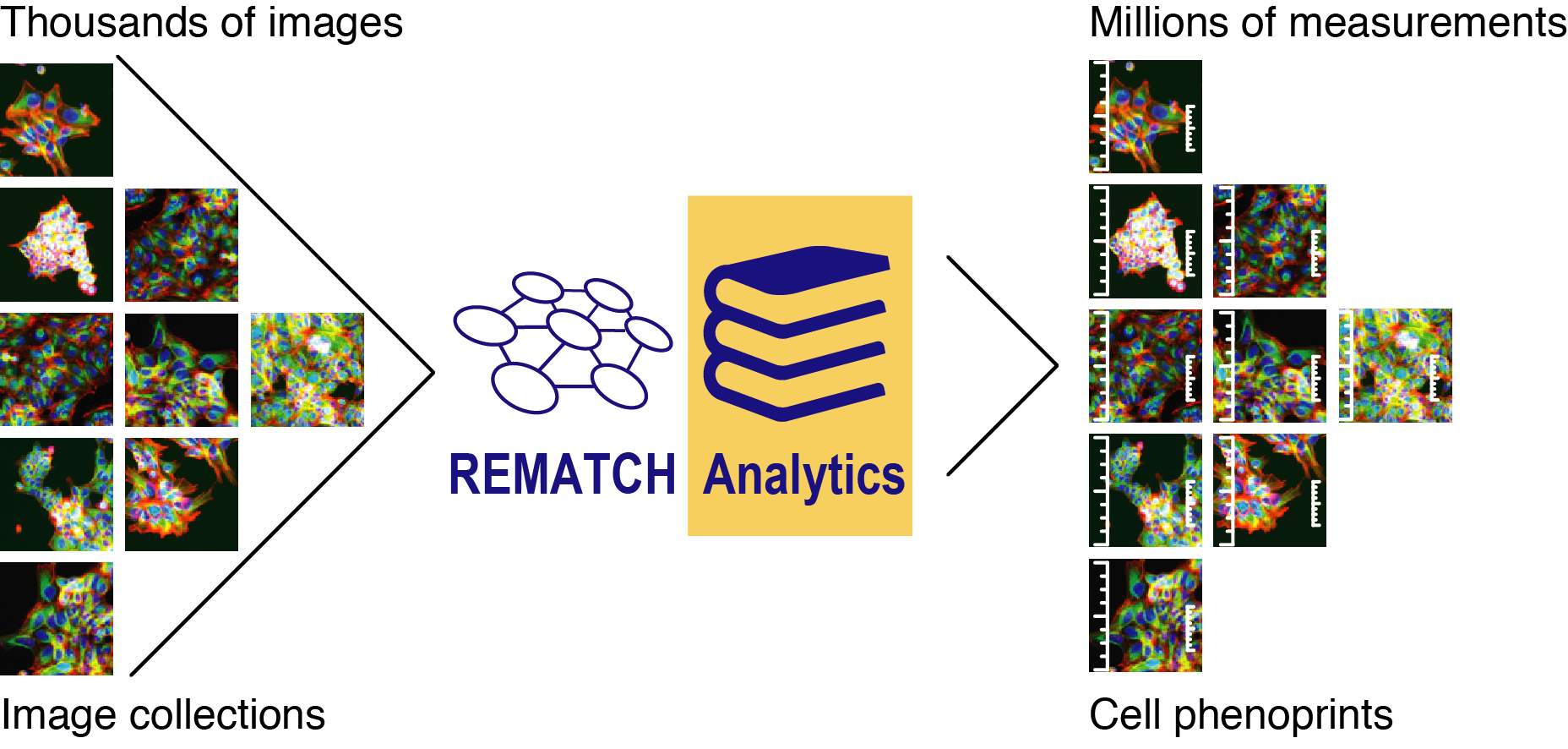 Rematch Analytics